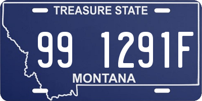 MT license plate 991291F