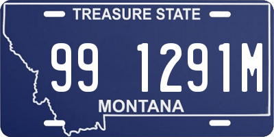 MT license plate 991291M