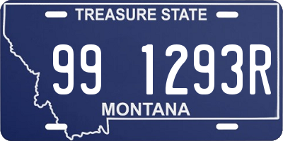 MT license plate 991293R