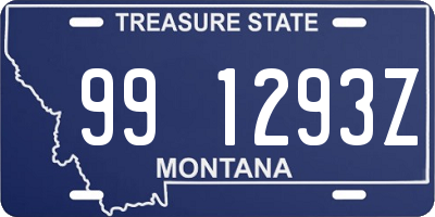 MT license plate 991293Z