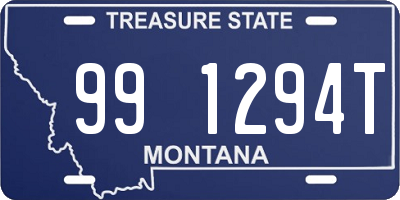 MT license plate 991294T