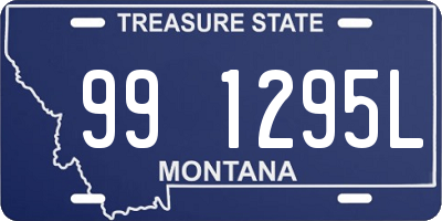 MT license plate 991295L