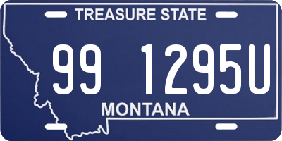 MT license plate 991295U