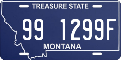 MT license plate 991299F