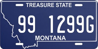 MT license plate 991299G