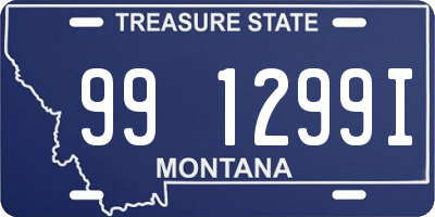 MT license plate 991299I