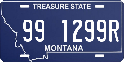 MT license plate 991299R