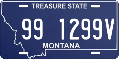 MT license plate 991299V