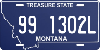 MT license plate 991302L