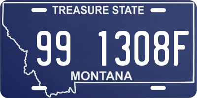 MT license plate 991308F