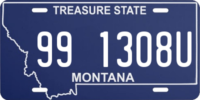 MT license plate 991308U