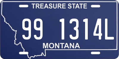 MT license plate 991314L