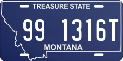 MT license plate 991316T