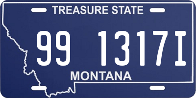 MT license plate 991317I