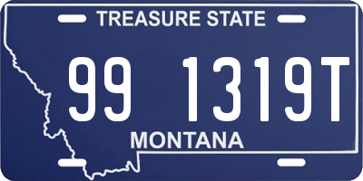 MT license plate 991319T