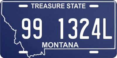 MT license plate 991324L