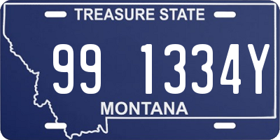 MT license plate 991334Y