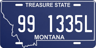 MT license plate 991335L