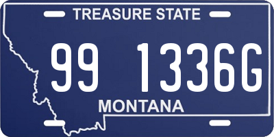 MT license plate 991336G