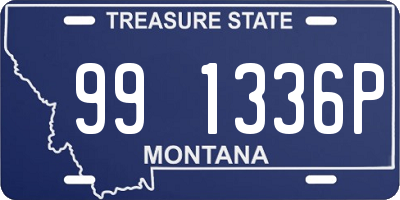 MT license plate 991336P