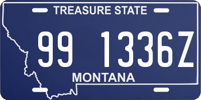 MT license plate 991336Z