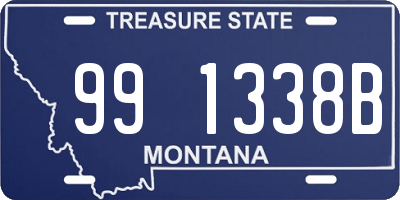 MT license plate 991338B