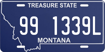 MT license plate 991339L