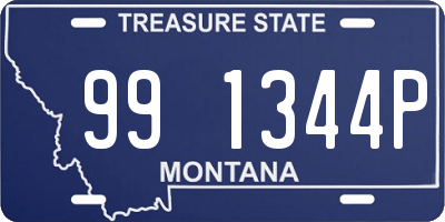 MT license plate 991344P