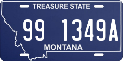 MT license plate 991349A