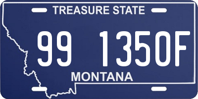 MT license plate 991350F