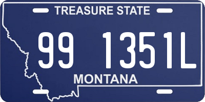 MT license plate 991351L