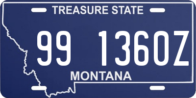 MT license plate 991360Z