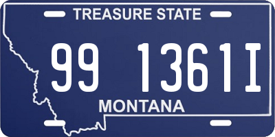 MT license plate 991361I