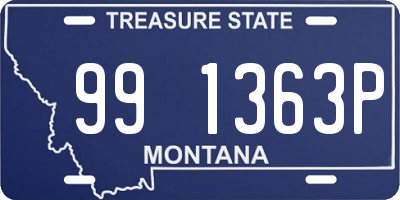 MT license plate 991363P