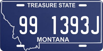 MT license plate 991393J