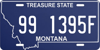 MT license plate 991395F