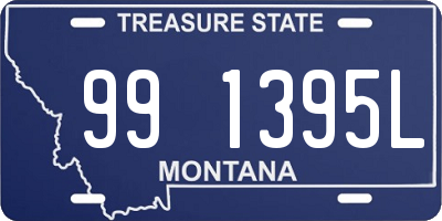 MT license plate 991395L