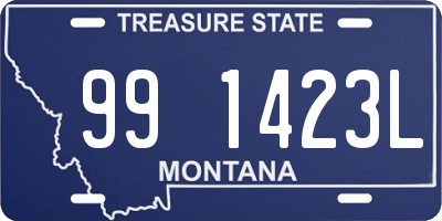 MT license plate 991423L