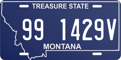 MT license plate 991429V