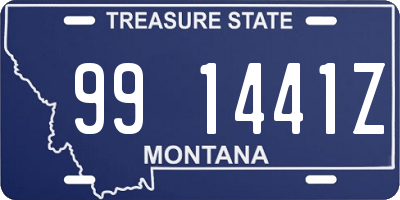 MT license plate 991441Z