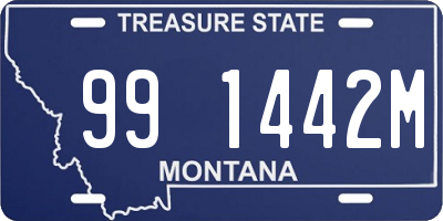 MT license plate 991442M