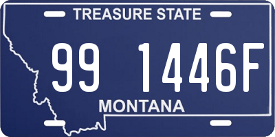 MT license plate 991446F