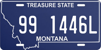 MT license plate 991446L