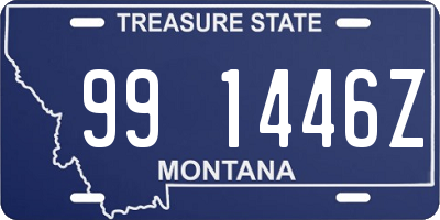 MT license plate 991446Z