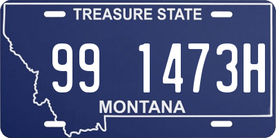 MT license plate 991473H