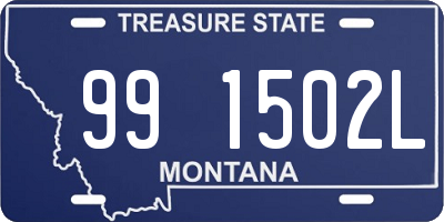 MT license plate 991502L