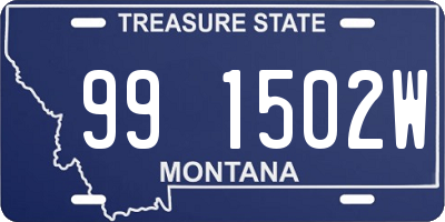 MT license plate 991502W