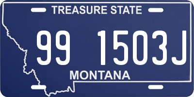 MT license plate 991503J