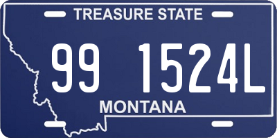 MT license plate 991524L