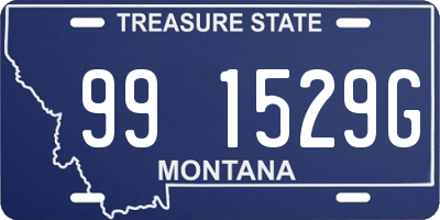 MT license plate 991529G